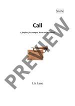 Lane, Liz: Call Product Image