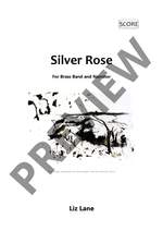 Lane, Liz: Silver Rose Product Image
