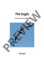 Lane, Liz: The Eagle Product Image