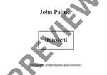 Palmer, John: Transient Product Image