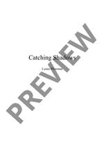 Plowman, Lynne: Catching Shadows Product Image