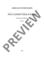 Richards, Emma-Ruth: You Cannot Fold a Flood Product Image