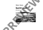 Yeats, Marc: burnt axon Product Image