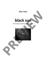 Yeats, Marc: black sun Product Image