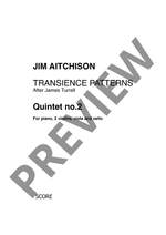 Aitchison, Jim: Transience Patterns Product Image