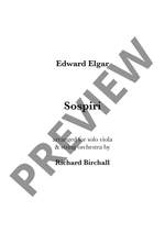 Birchall, Richard: Sospiri (version for viola and string orchestra) Product Image