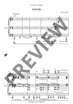 Copley, Peter: Aubade Product Image