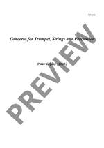 Copley, Peter: Concerto Product Image