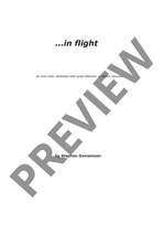 Davismoon, Stephen: ...in flight Product Image