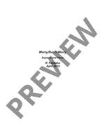 Fokkens, Robert: Worry/Don't Worry Product Image