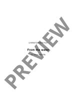 Fox, Christopher: From the water Product Image