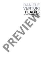 Venturi, Daniele: Flag 13 Product Image