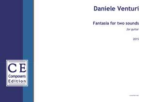 Venturi, Daniele: Fantasia for two sounds