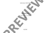 Venturi, Daniele: Mirrors Product Image
