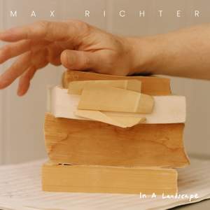 Max Richter - In A Landscape