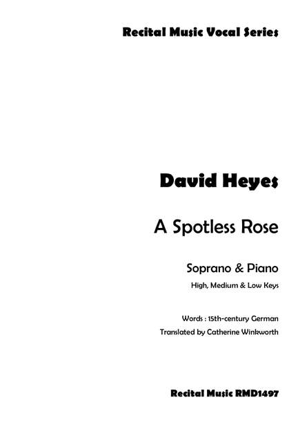David Heyes: A Spotless Rose