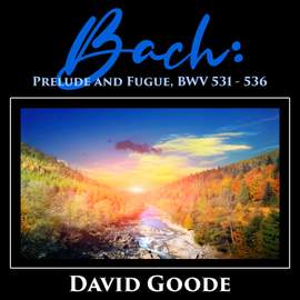 Bach: Prelude and Fugue, Bwv 531 - 536