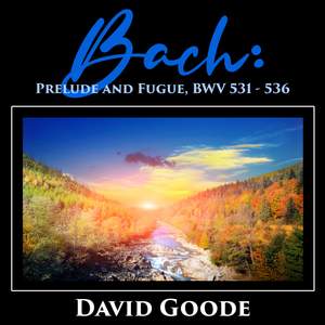 Bach: Prelude and Fugue, Bwv 531 - 536