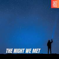 The Night We Met