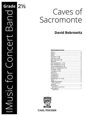 Bobrowitz, D: Caves of Sacromonte G minor