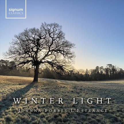 Winter Light