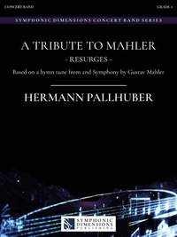 Hermann Pallhuber: A Tribute to Mahler