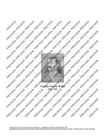 García Tolsa, Carlos: The Collected Works for Guitar Product Image