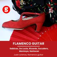 Flamenco guitar: Paco De Lucia, Sabicas, Manolo Sanlucar