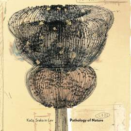 Pathology of Nature