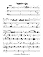 Goddard, Mark: Flute Fundae Product Image