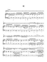 Woodcock, Robert: Flute Concerto No. 9 in E minor Product Image