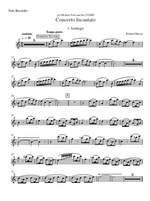 Richard Harvey: Concerto Incantato for Recorder & Piano Product Image