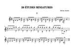 Adrian Andrei: 20 Études miniatures Product Image