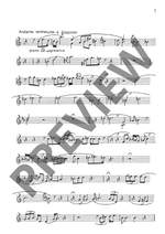 Finnissy, Michael: Ettelijke bange eenden Product Image