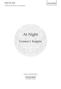 Koppin, Connor J.: At Night