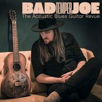 The Acoustic Blues Guitar Revue