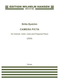 Britta Buström: Camera Picta