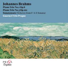 Johannes Brahms: Piano Trios Nos. 1 & 3, Sonatenzatz