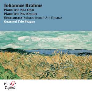 Johannes Brahms: Piano Trios Nos. 1 & 3, Sonatenzatz
