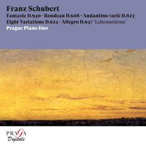 Franz Schubert: Fantasie, D. 940, Rondeau, D. 608, Andantino varié, D. 823, Eight Variations, D. 624, Allegro, D. 947 'Lebensstürme'