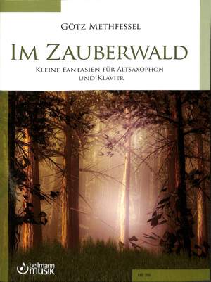 Götz Methfessel: Im Zauberwald