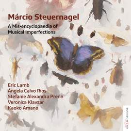 Marcio Steuernagel: A Mis-Encyclopaedia of Musical Imperfections