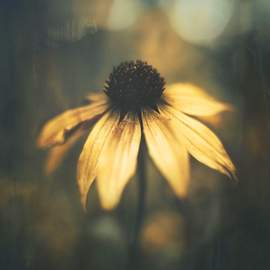 Nurture