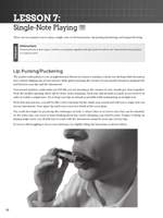 Do-It-Yourself Harmonica Product Image