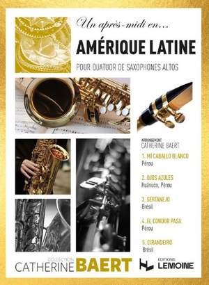 Baert, Catherine: Un apres midi en...Amerique latine