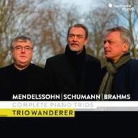 Mendelssohn, Schumann & Brahms: Complete Piano Trios