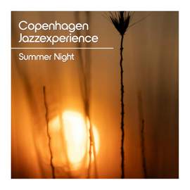 Summer Night