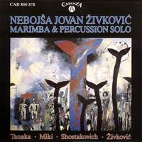 Marimba & Percussion solo