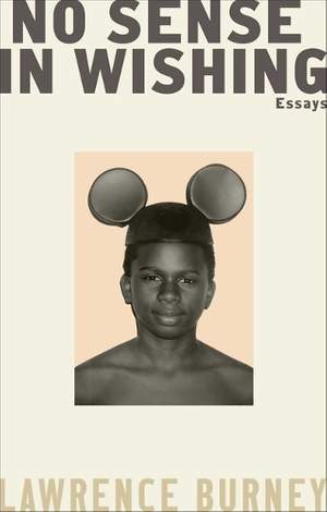 No Sense in Wishing: Essays