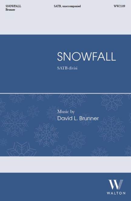 David L. Brunner: Snowfall